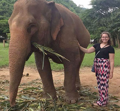 A Curry College Study Abroad student pets an elephant in Thailand