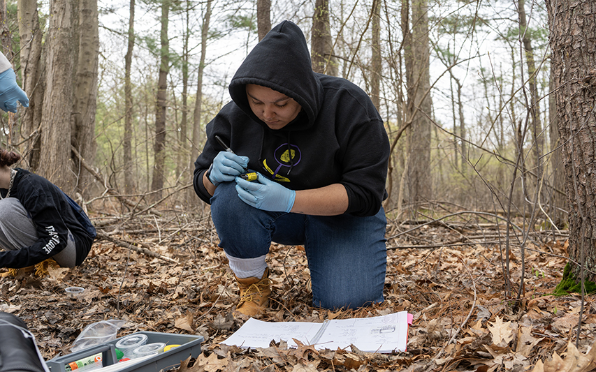Student collects data in wooded campus for Field Ecology lab