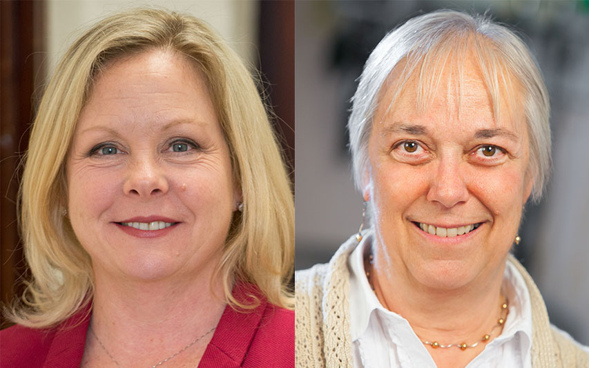 School of Nursing faculty members Dr. Cathleen Colleran and Dr. Susan A. LaRocco