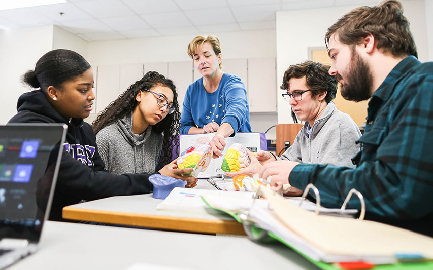 Curry College Psychology students and faculty collaborate on an interactive class assignment