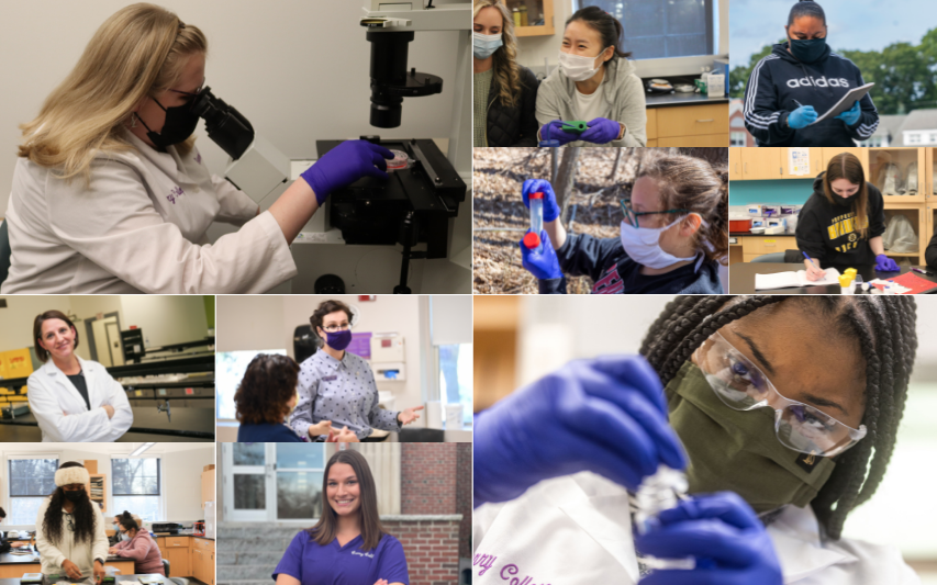 Collage of Women in STEM area studies at Curry College