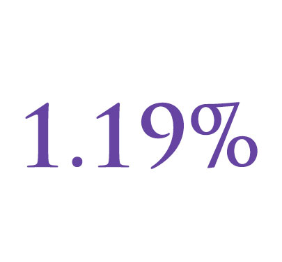 1.19%