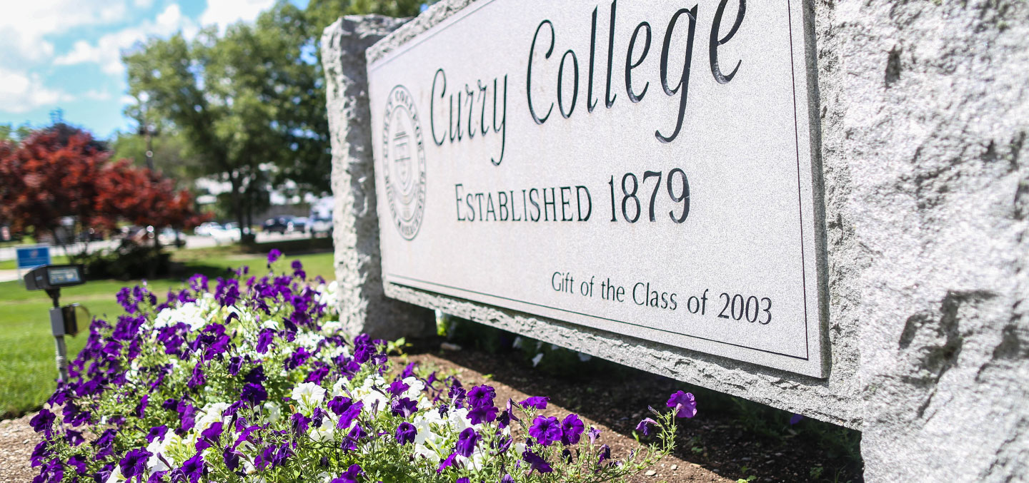Curry College front gate sign with purple and white flowers surrounding it