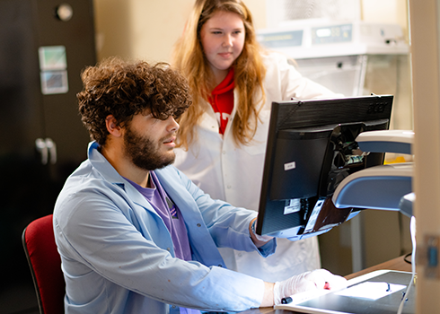 Students analyze fingerprints in the Curry College Forensic Science Lab