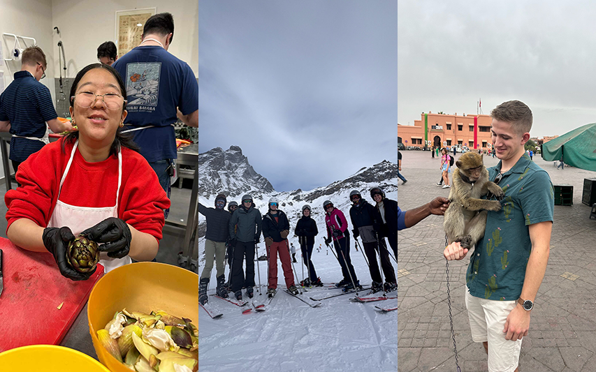 Curry College students cooking, skiing, and handling monkeys in various abroad settings