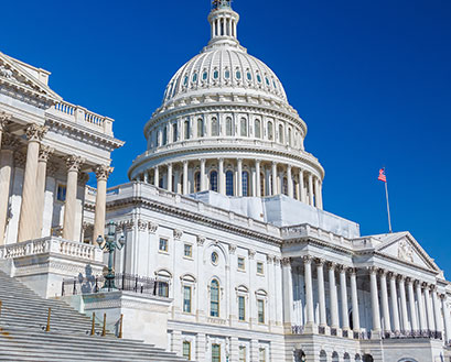 The Capitol Building in Washington, D.C.