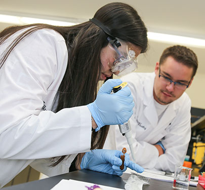 Students in the Exploratory Health Professions program perform an experiment