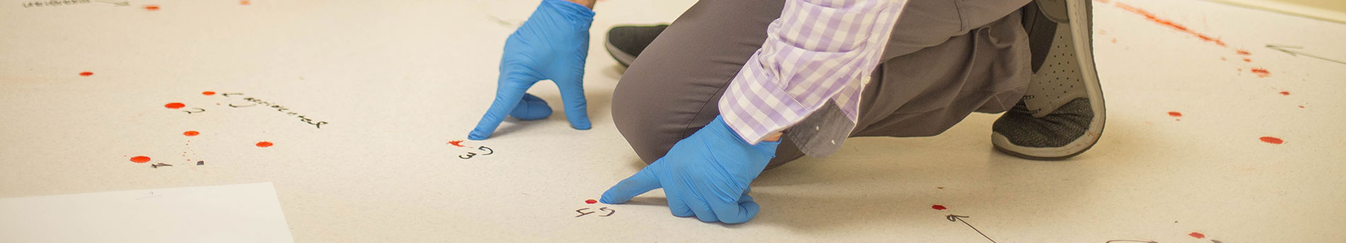 Students in the Forensic Science Lab at Curry College, conducting a blood spatter test