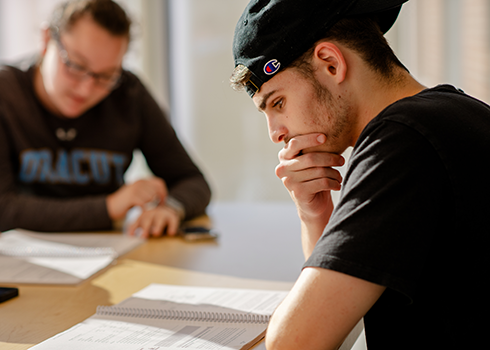 Student study session in the Learning Commons