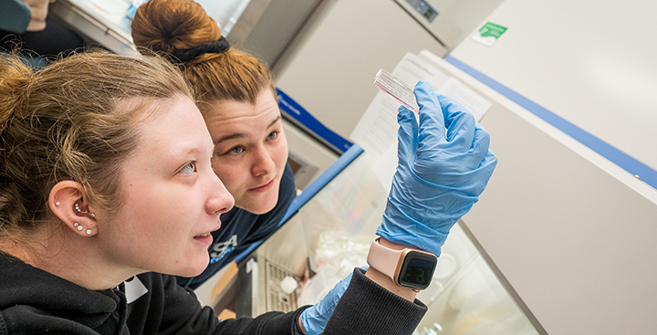 Students study a biology sample in the Learning Commons lab