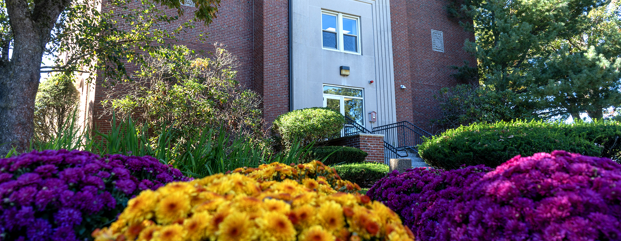 Kennedy Academic Building sign surrounded by fall leaves