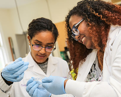 Students conduct an experiment in a Curry College science lab class