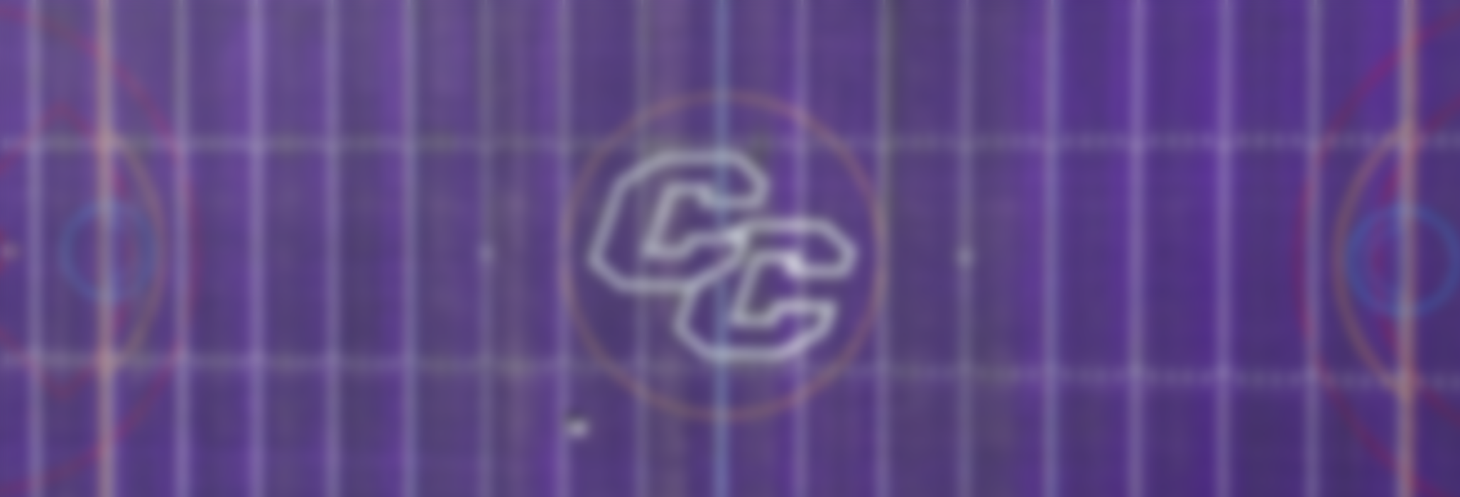 Curry College Katz Field with all-purple turf